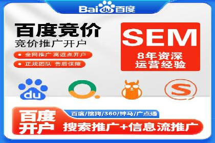 成功运用SEM服务实现品牌推广的案例分析